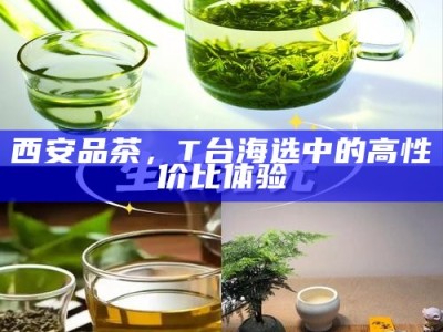 西安品茶，T台海选中的高性价比体验