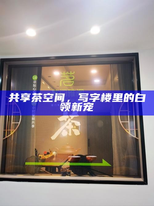 西安品茶之旅，海选工作室推荐与高性价比茶室真实打卡攻略