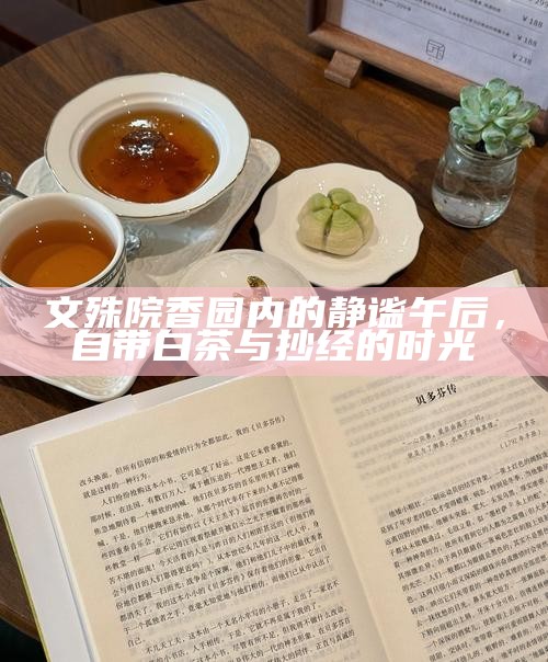 文殊院香园内的静谧午后，自带白茶与抄经的时光