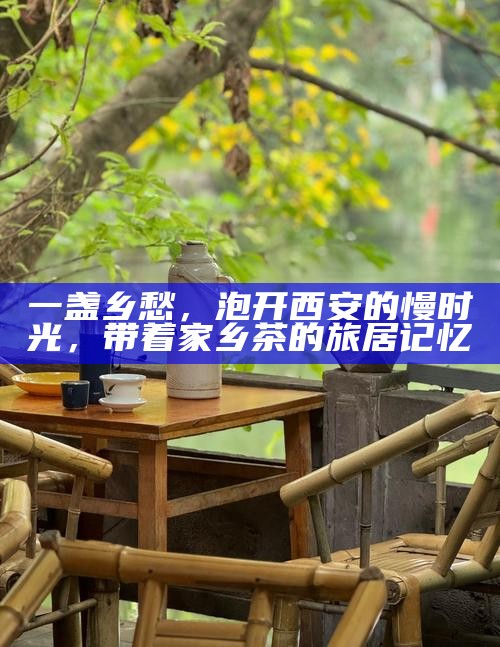 一盏乡愁，泡开西安的慢时光，带着家乡茶的旅居记忆