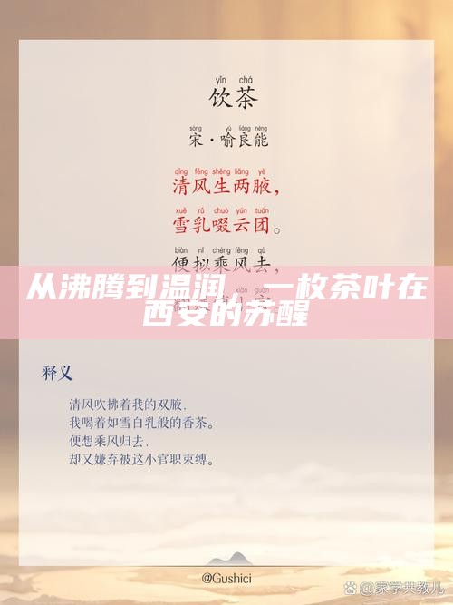 从沸腾到温润，一枚茶叶在西安的苏醒